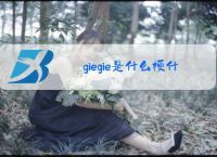 giegie是什么梗什么意思