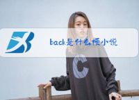 back是什么梗小说