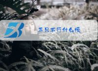 五只不行什么梗