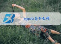 mynuts是什么梗