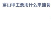 猜一猜穿山甲主要用什么来捕食11月17日蚂蚁庄园最新答案