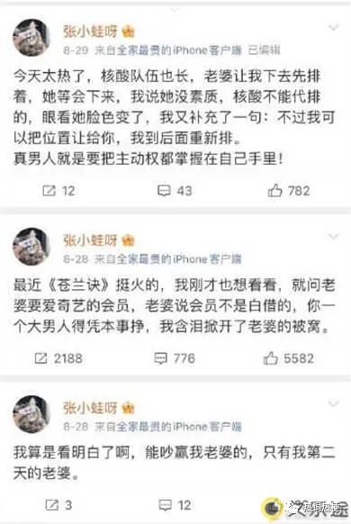 娇夫文学是什么意思