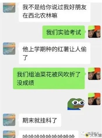 我的作业被作业吃了是什么梗