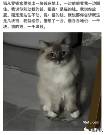 小猫文学是.png